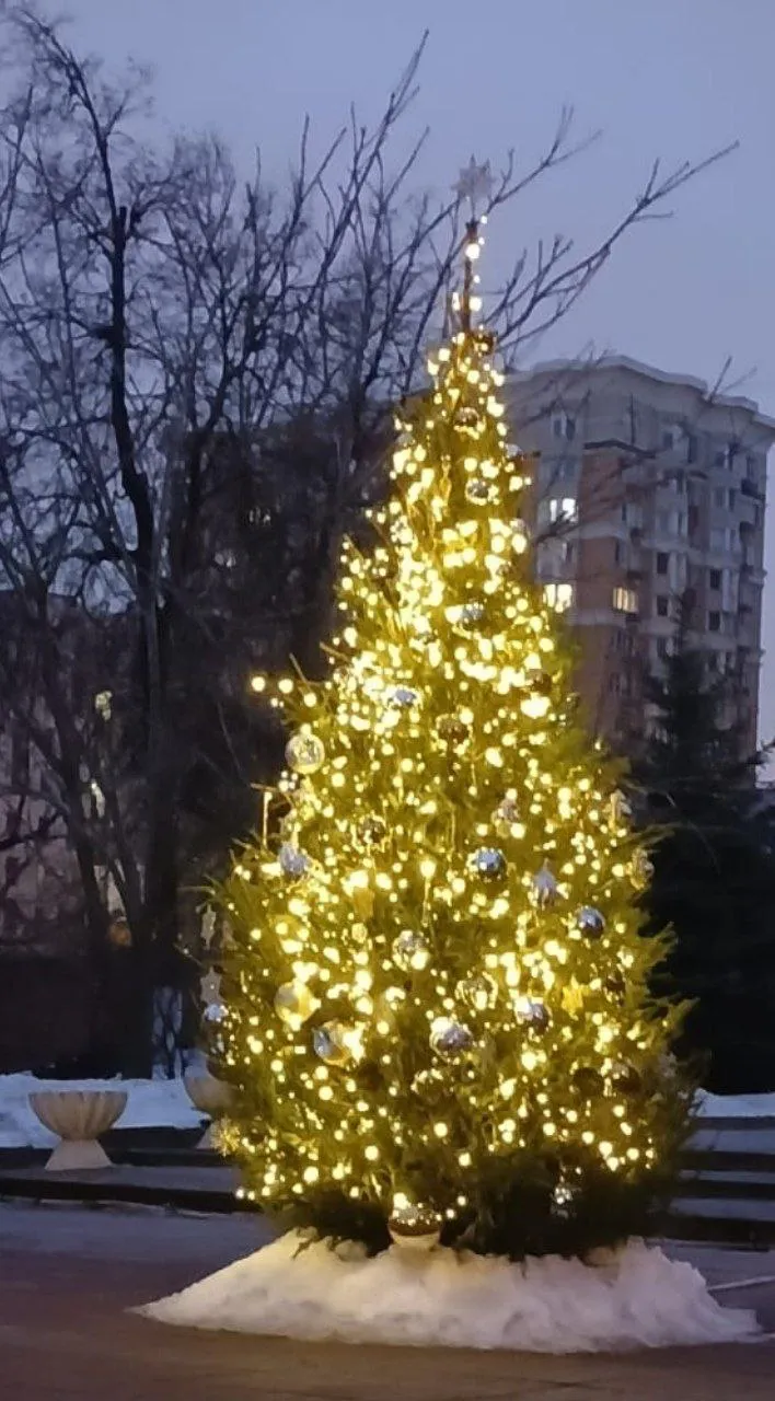 Размышления под Новый Год