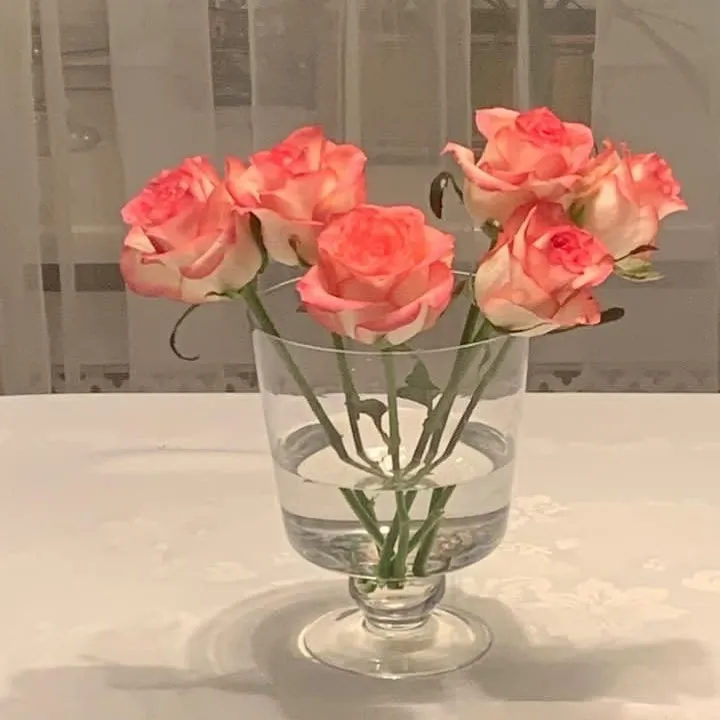 Розы