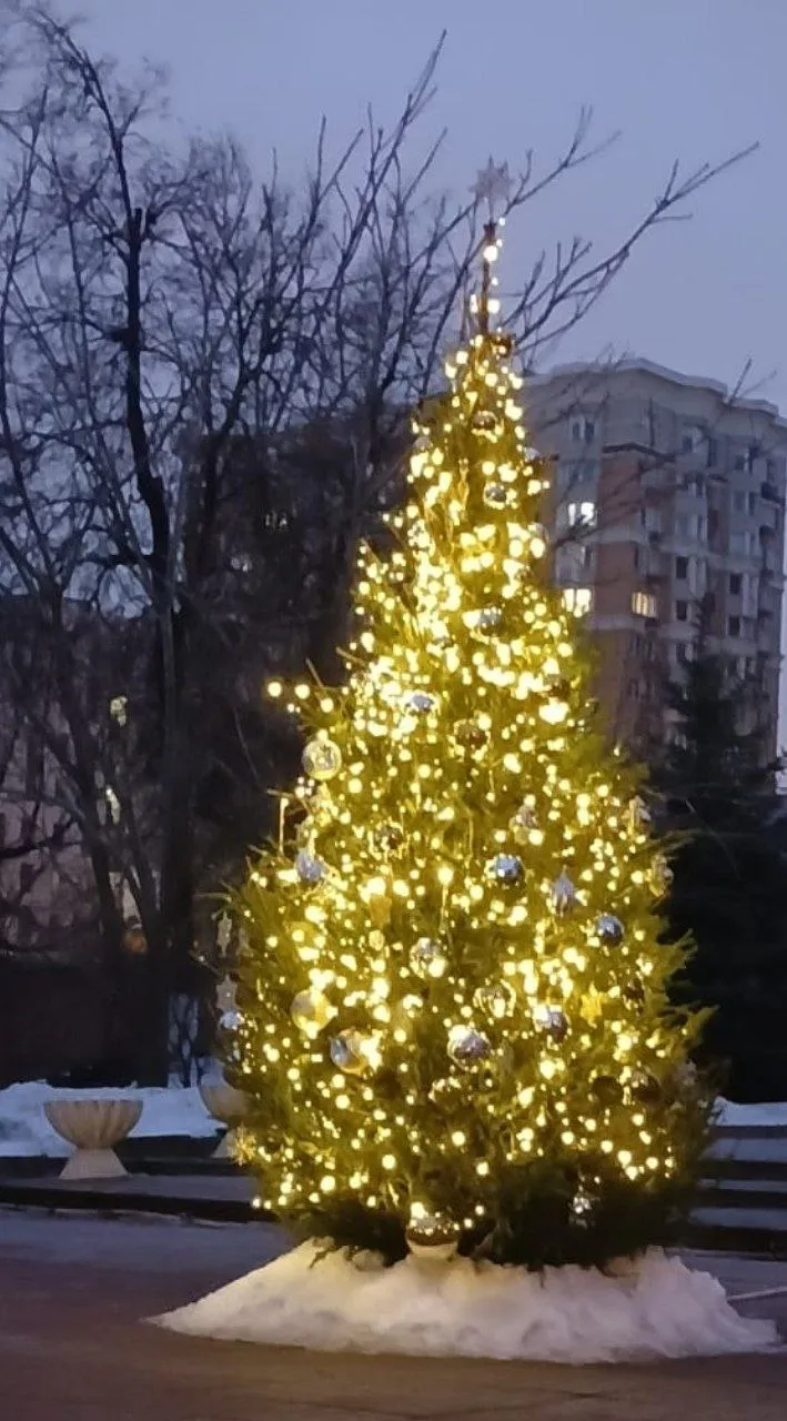 В ожидании Рождества