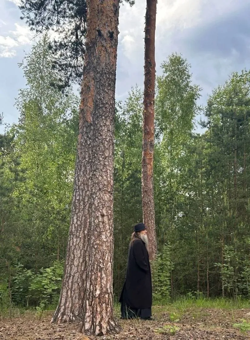 Дневной дождь